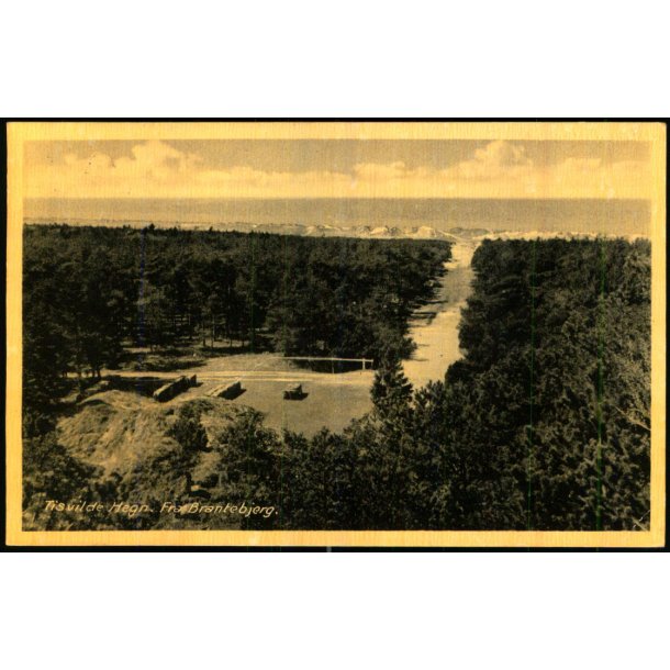 Tisvilde Hegn - Fra Brantebjerg - Rudolf Olsen 8 - Brugt