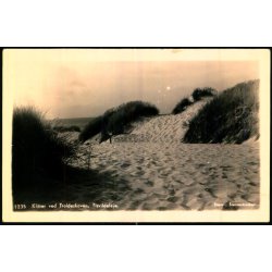 Klitter ved Troldeskoven - Tisvildeleje - Fotokort Stationskiosken 1235 - Ubrugt