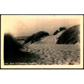 Klitter ved Troldeskoven - Tisvildeleje - Fotokort Stationskiosken 1235 - Ubrugt