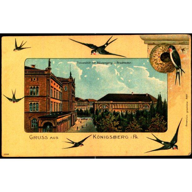 Gruss aus K�nigsberg - Ubrugt