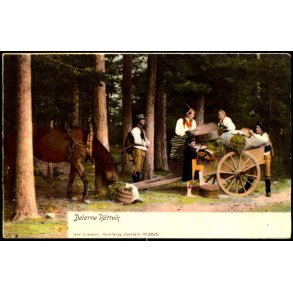 Rattvik - Dalarna - Alex Eliasson 2025 - Ubrugt