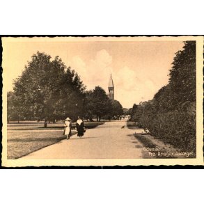 Odense - Fra Ansgar Anl�get  - Stender O. 152 - Ubrugt