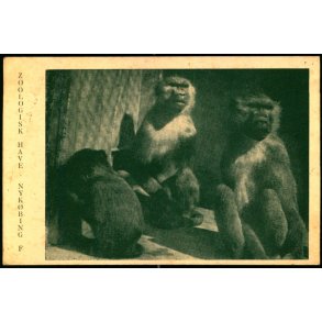 Zoologisk Have - Nyk�bing F. - Kortforsyningen u/n - Ubrugt