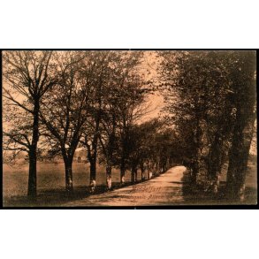 Middelfart - Hindsgavls - Alleen - J.G. Kreutzers Papir u/n - Brugt