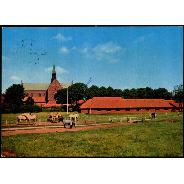 L�gumkloster - Udsigt mod Kirken og refugiet - H. Ingwersen 80 - Brugt