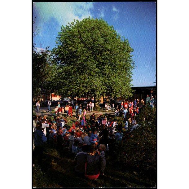 Jesperhus Blomsterpark - 9005 - Brugt