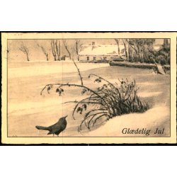 VEJLEFJORD p Postkort