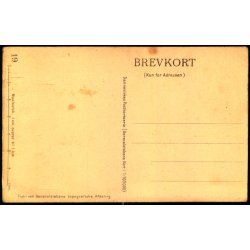 Generalstabskort - Dannevirke 19 - Ubrugt