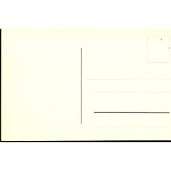 T Domkirkju - Reykjavikur - Fotokort u/n - Ubrugt