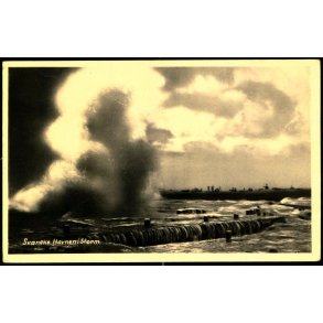 Svaneke - Havnen i Storm - Colbergs Boghandel 1001