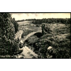 Mols - Hulvej ved Tinghulen - Elles Bogh. 12125 - Ubrugt