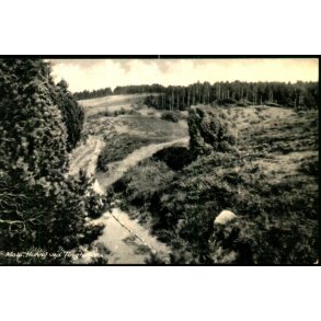 Mols - Hulvej ved Tinghulen - Elles Bogh. 12125 - Ubrugt