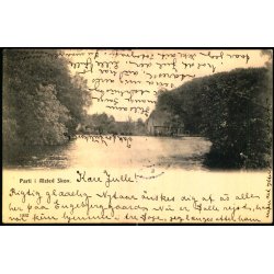 Parti i Alsted Skov - 1032 - Brugt