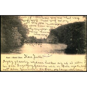 Parti i Alsted Skov - 1032 - Brugt