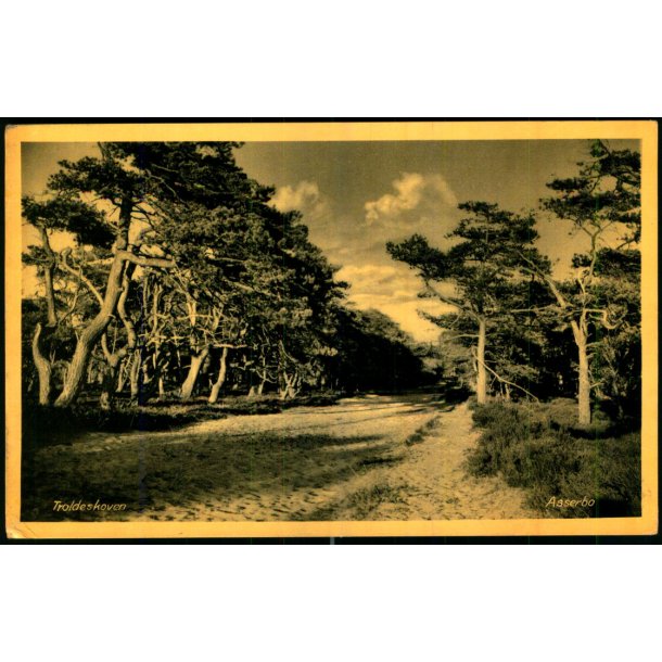 Troldeskoven - Asserbo - E. Ramlaus Bogh. 78365 - Ubrugt