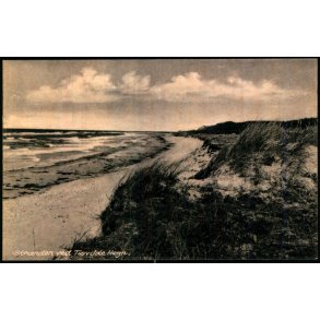Stranden ved Tisvilde Hegn - P. Thuneby 15546 - Brugt