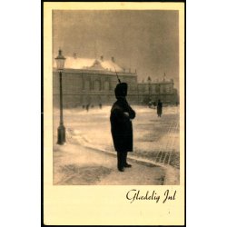 Garden p� Amalienborg - Gl�delig Jul - u/n - Brugt