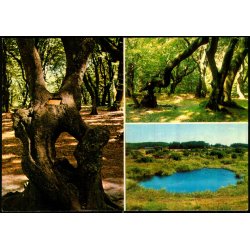 Rebild - Troldeskoven - Stender  149 619 030 - Ubrugt