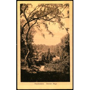 Paradisdalen - Tisvilde Hegn - S. Nielsen 4263 - Brugt