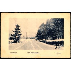 Bornholm - Ved Stenbruddet - Nex - V.E. Jensen Nex ny Bogh. 75 - Brugt