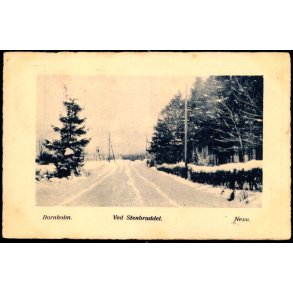 Bornholm - Ved Stenbruddet - Nex - V.E. Jensen Nex ny Bogh. 75 - Brugt