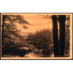 Udsigt fra Dyrns - Nordskoven Jgerspris - J.J. Ebbesen 34118 - Ubrugt