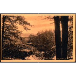 Udsigt fra Dyrns - Nordskoven Jgerspris - J.J. Ebbesen 34118 - Ubrugt