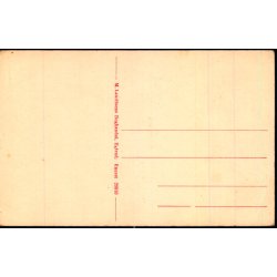 Parti fra Egtved - Pr�stegaarden - Kirken - M. Lauritsens Bogh. 29916  - Ubrugt