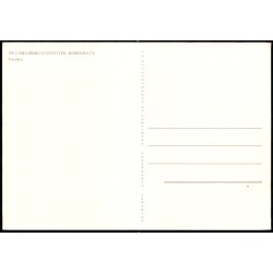 Ny Carlsberg Glyptotek - Kbenhavn - Facaden - La Glyptotheque u/n