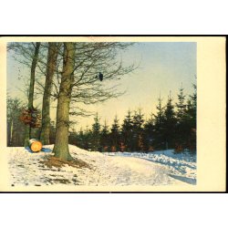 1959/1953 p Postkort