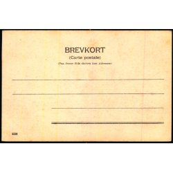 Kbenhavn - Parti fra rstedsparken - 3228 - Ubrugt