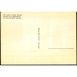 Den  fynske Landsby - Odense - Museet u/n - Ubrugt