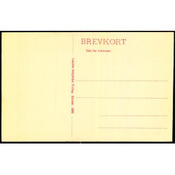 Hilsen fra Skagen - Lauris Schjeldes Bogh. 5283 - Ubrugt