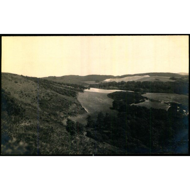 Bakkeparti Femm�ller - Fotokort Edv. Monsrud u/n - Ubrugt