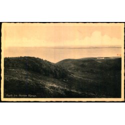 Parti fra Skyum Bjerge - C. S�ndergaard 4748 - Brugt