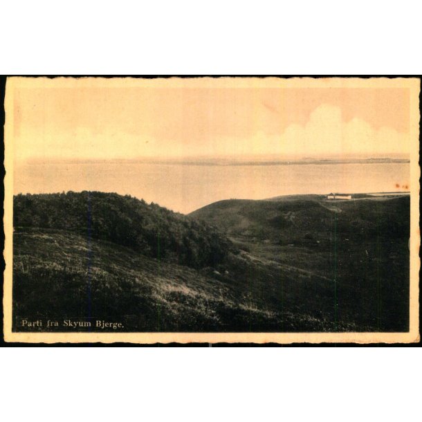 Parti fra Skyum Bjerge - C. S�ndergaard 4748 - Brugt