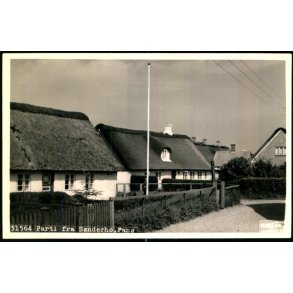 Parti fra S�nderho - Fan� - Fotokort Stjerne Foto 31564 - Ubrugt