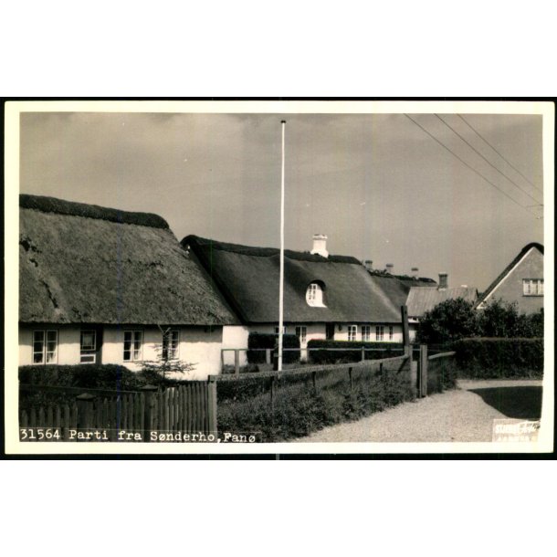 Parti fra S�nderho - Fan� - Fotokort Stjerne Foto 31564 - Ubrugt