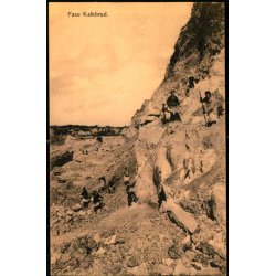 Faxe Kalkbrud - P.N. Tinglef 314 - Brugt