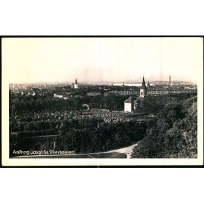 Aalborg - Udsigt fra Skovbakken - Stender Aa. 329 - Ubrugt