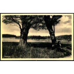 Sjls - Rudolf Olsen 10203 - Ubrugt