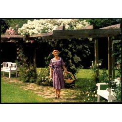 Dronning Margrethe II p Marselisborg - Stender 149 719 679 - Ubrugt