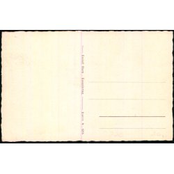 Tisvilde Hegn - Fra Brantebjerg - Rudolf Olsen 9286 - Ubrugt