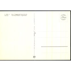 Flagparade  - Kongeslottet  - Oslo - Aune 898/2 - Ubrugt