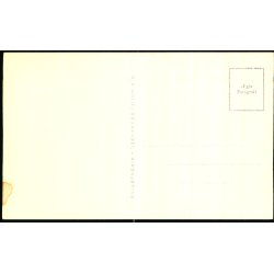 Hvide Sande - Fotokort N.P. Holms Bogh 17823 - Ubrugt