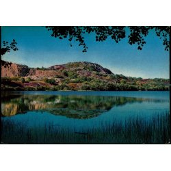 Bornholm - Hammers med Hje Meder - Colbergs Boghandel 8268 - Brugt