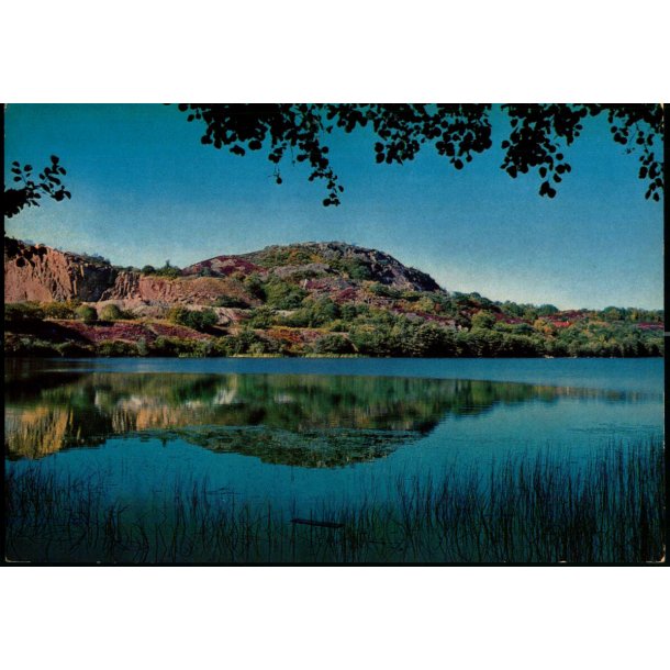 Bornholm - Hammers med Hje Meder - Colbergs Boghandel 8268 - Brugt