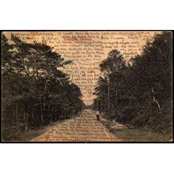 Plantagen - Hornb�k - Bodilsen &amp; Nielsen K 216 - Brugt