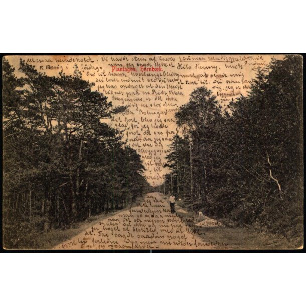 Plantagen - Hornb�k - Bodilsen &amp; Nielsen K 216 - Brugt