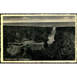 Tisvilde Hegn - Fra Brantebjerg - Rudolf Olsen 9286 - Ubrugt